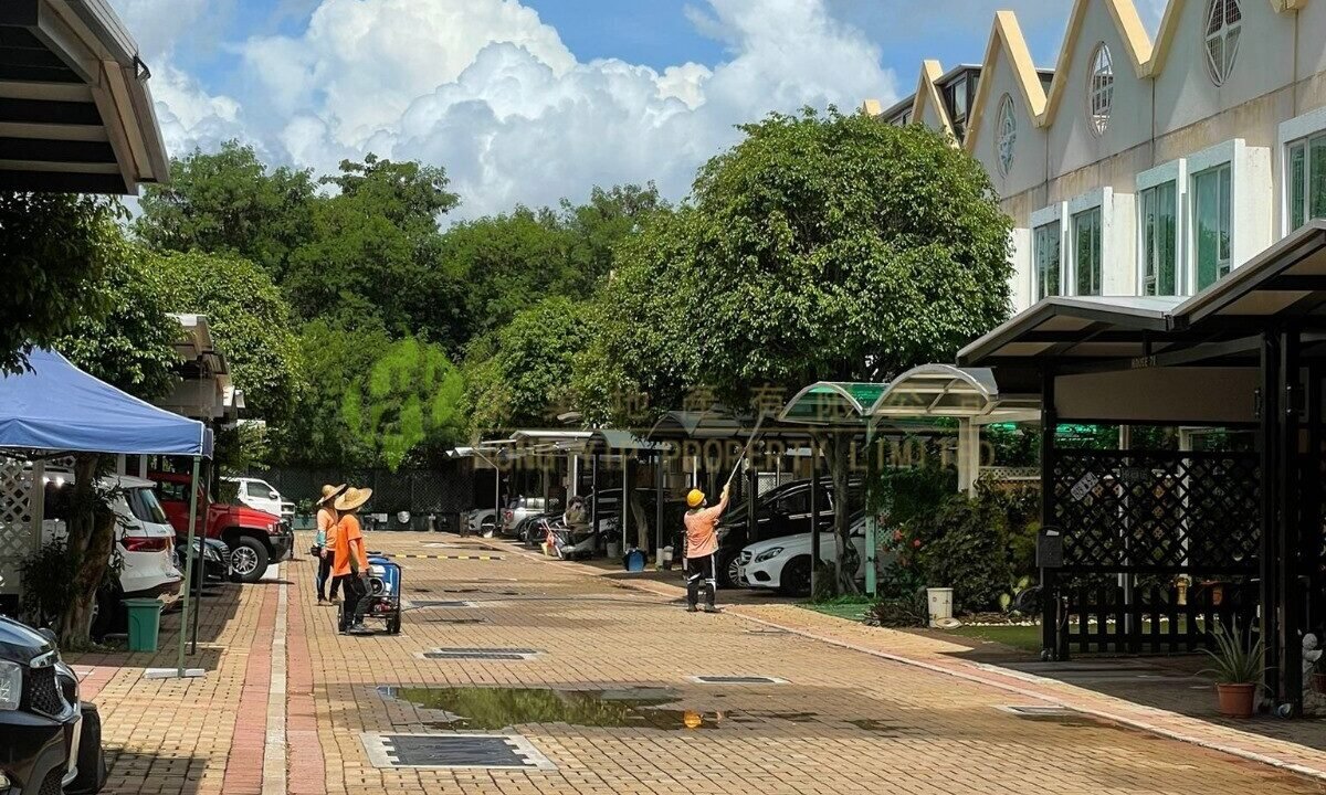 WhatsApp Image 2026-02-09 at 11.41.50