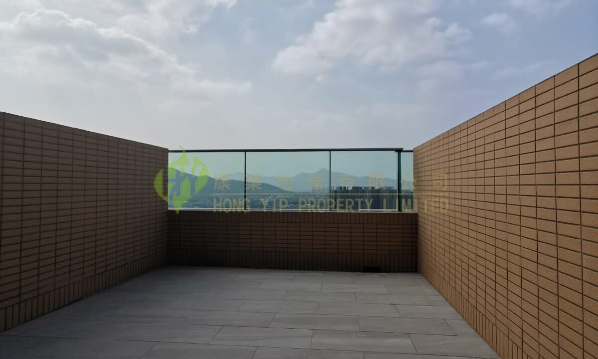 WhatsApp Image 2026-02-15 at 15.15.35