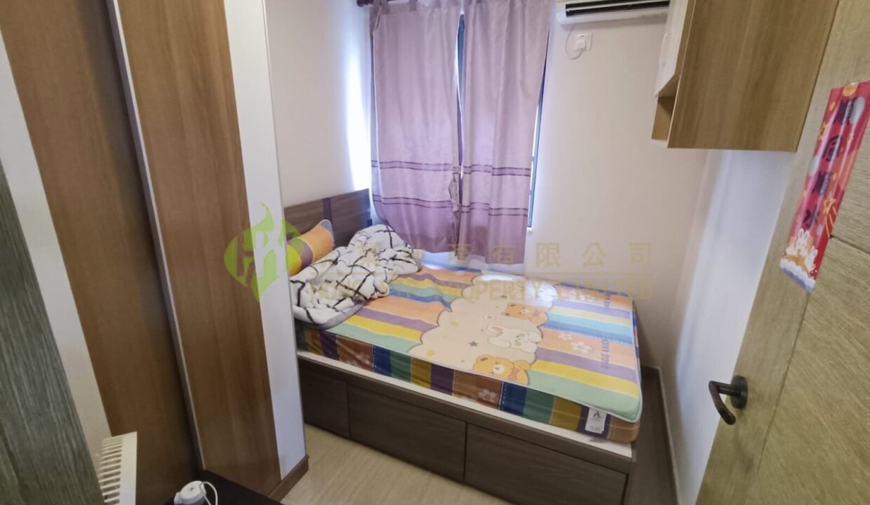 WhatsApp Image 2026-02-18 at 14.07.23 (1)