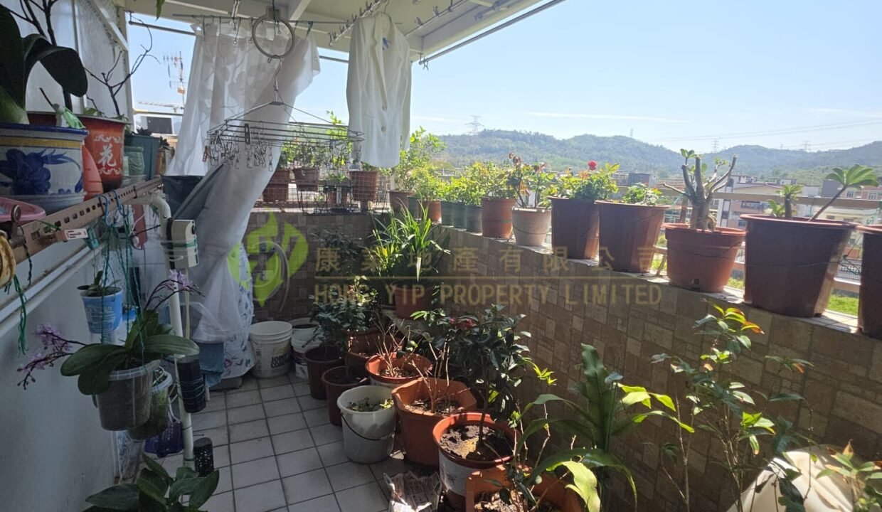 WhatsApp Image 2026-03-16 at 12.46.45 (1)